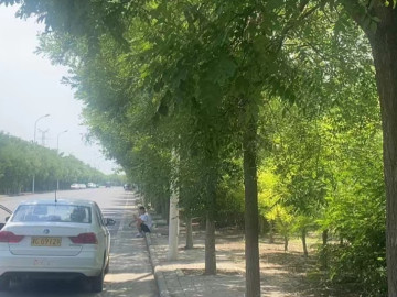 海津驾校张兴庄分校