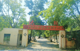 大联驾校