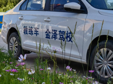 金泽驾校