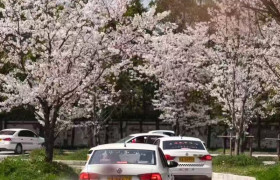 教学环境