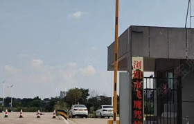 飞鹰驾校