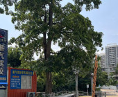 湛汽驾校