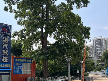 湛汽驾校