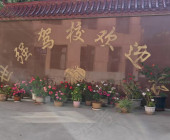 世強駕校