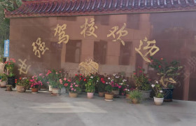 世强驾校