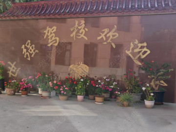 世强驾校