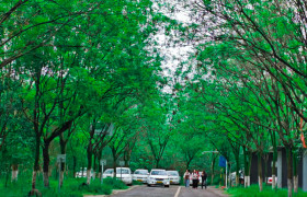 军一地驾校
